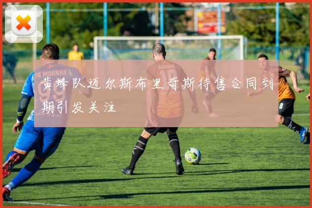 黄蜂队迈尔斯布里奇斯待售合同到期引发关注